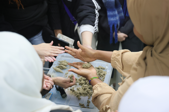 山东师范大学外籍留学生走进山东新中鲁中医医院开展研学活动